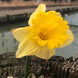 Meet your Posher, Valerie